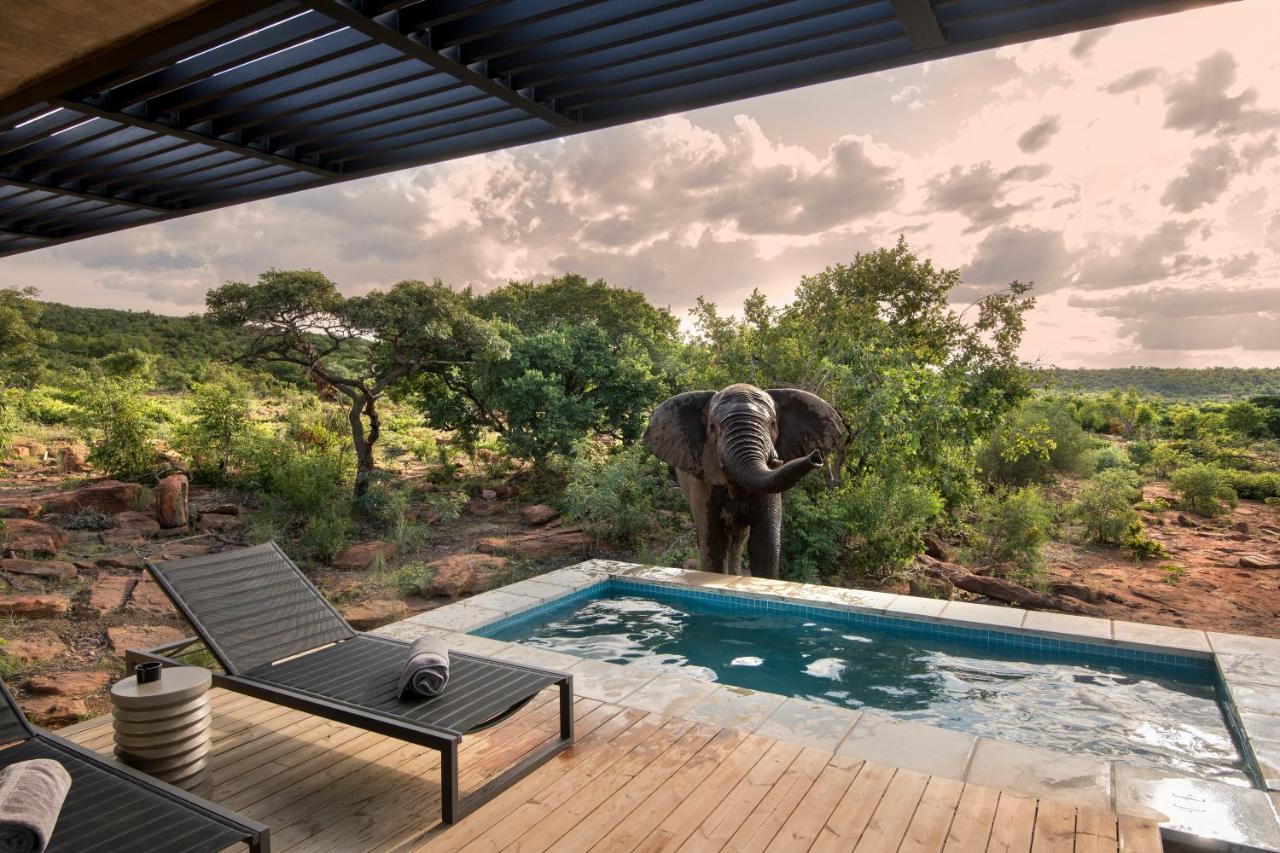 57 Waterberg Βίλα Welgevonden Game Reserve Εξωτερικό φωτογραφία