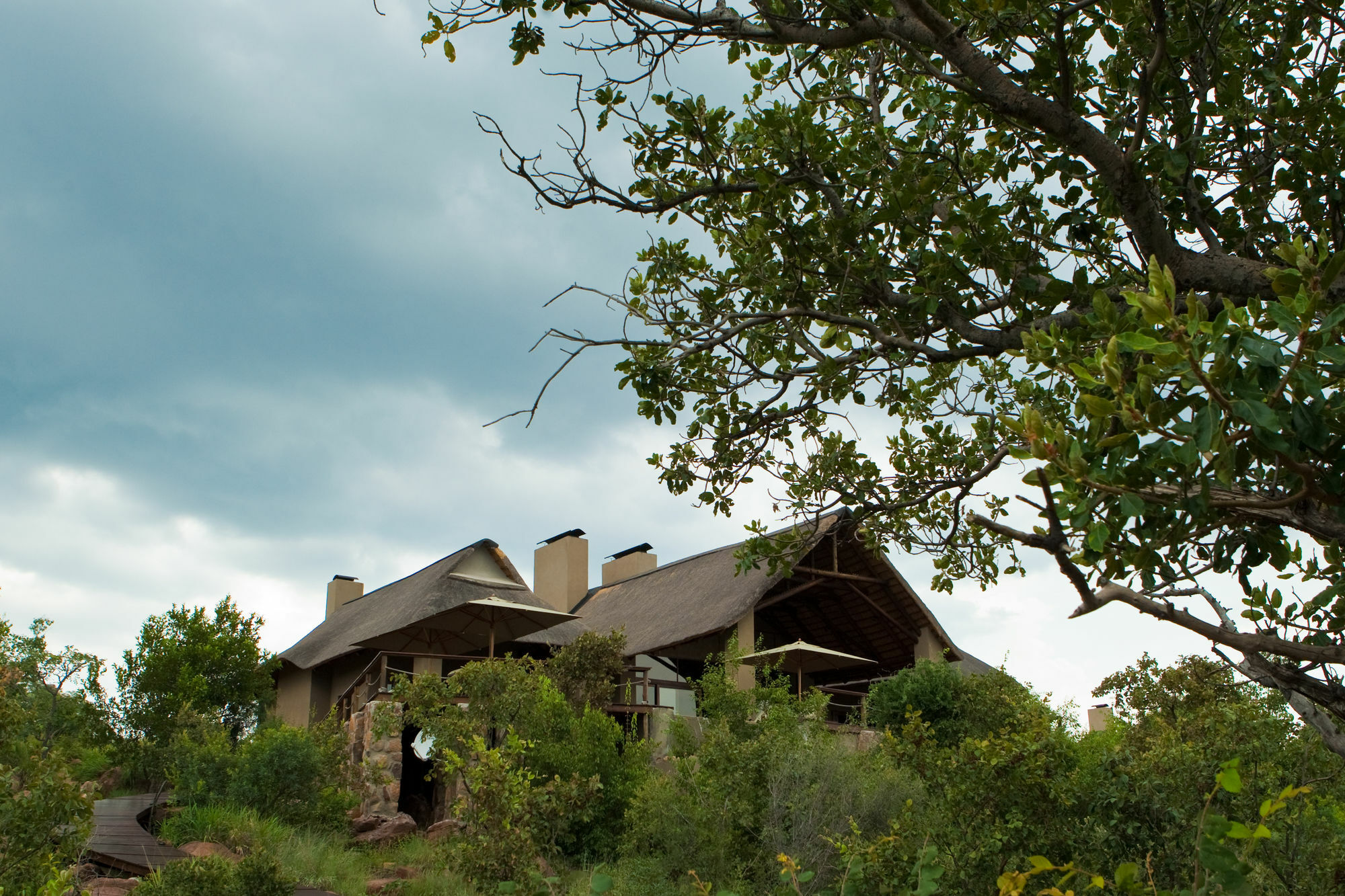 57 Waterberg Βίλα Welgevonden Game Reserve Εξωτερικό φωτογραφία
